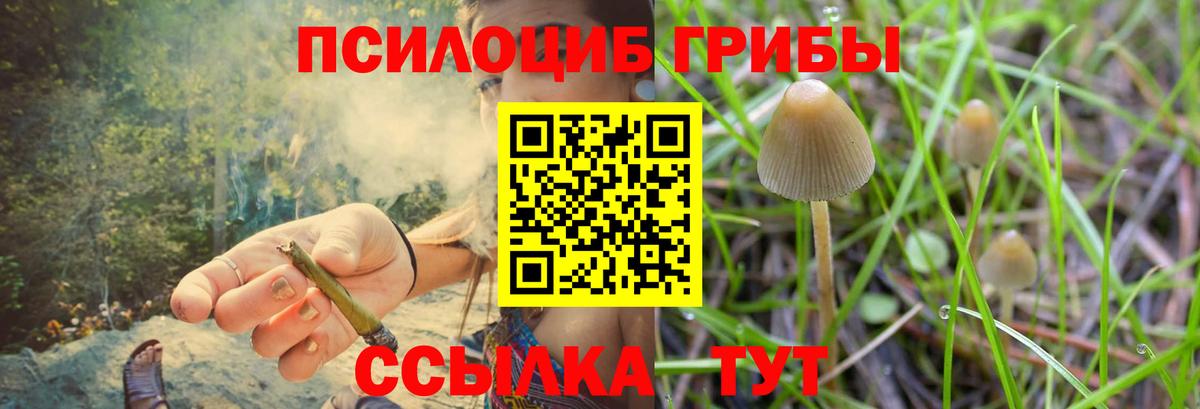 Галлюциногенные грибы GOLDEN TEACHER Всеволожск